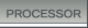 Processor
